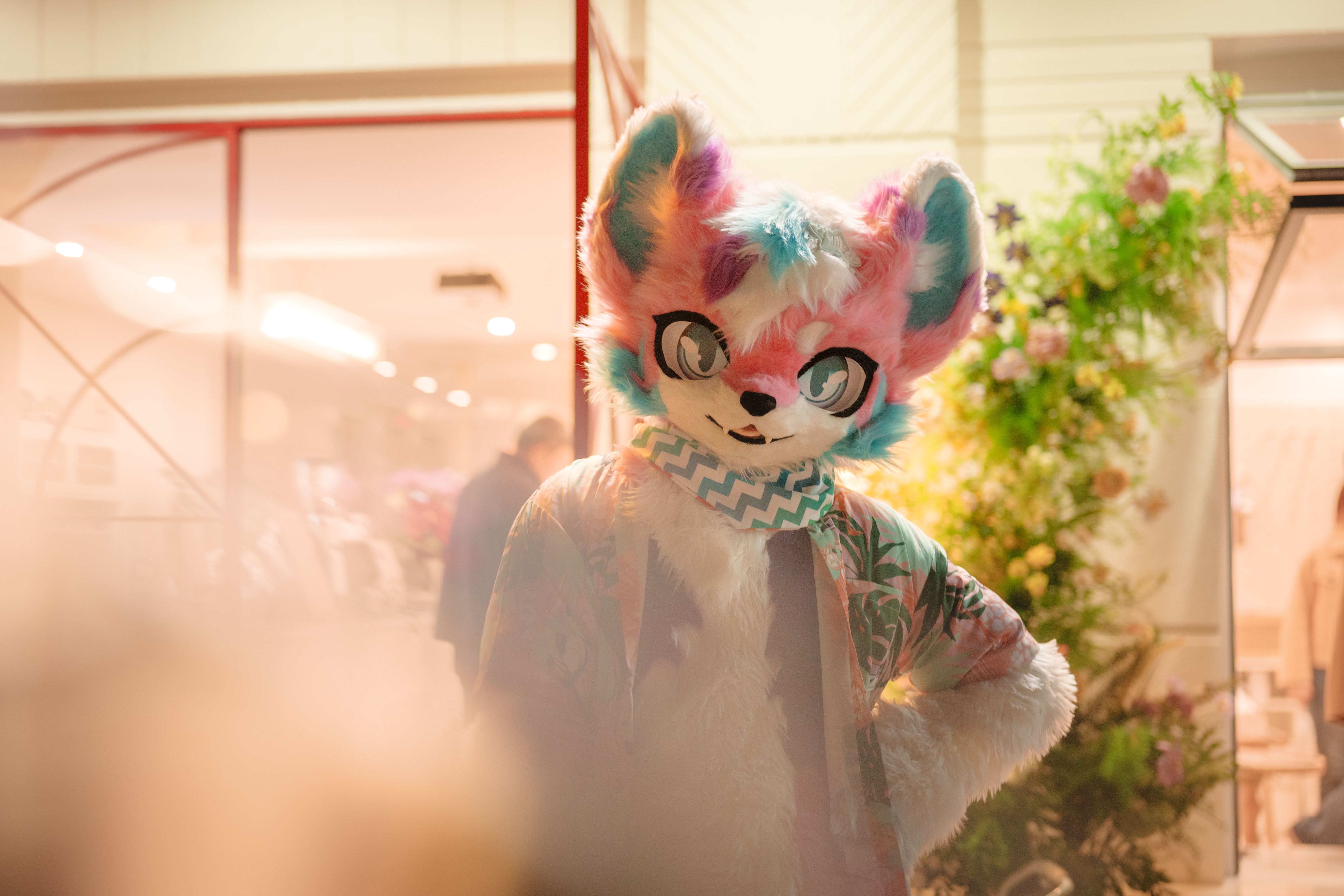 玹羽工作室背景图 2