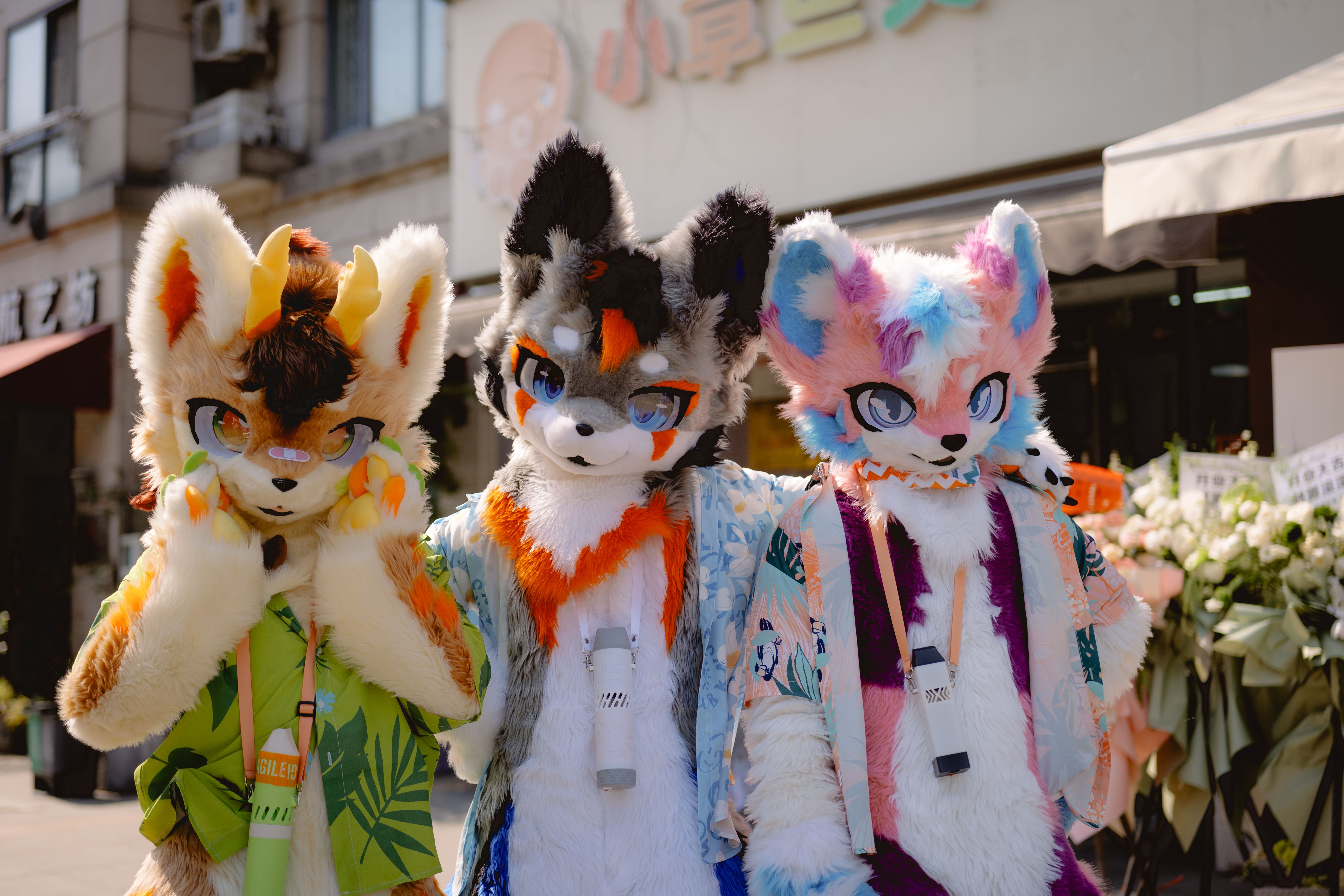 玹羽工作室背景图 3